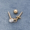 Il piercing di acciaio inossidabile di Rose Gold Ear Piercing Jewellery 316 fissa 16G 8mm