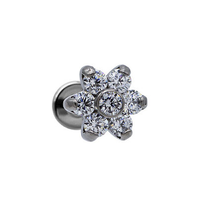 Anello di naso variopinto di stile di Labret del filo di Crystal Titanium Piercing Jewelry Internal